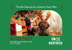 Dog with antlers on its head and cat dressed in a sweater sitting in front of a Christmas tree.