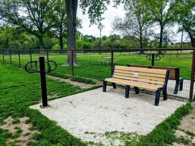 Benched and tether at Dog Park